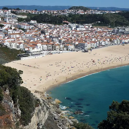 Oceanscape - 50 Meters From The Beach Daire *